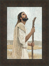 Our Shepherd