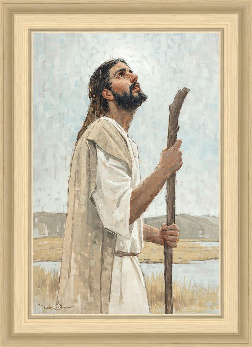 Our Shepherd