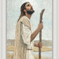 Our Shepherd
