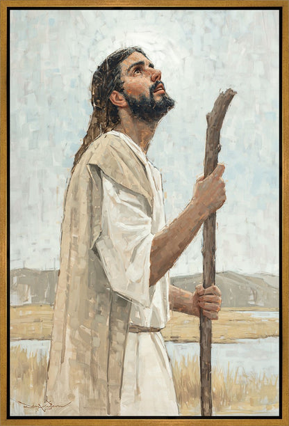 Our Shepherd