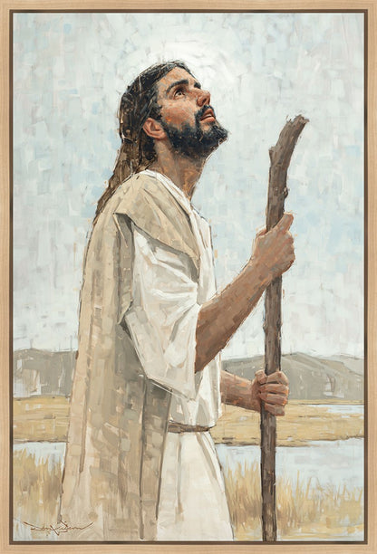 Our Shepherd