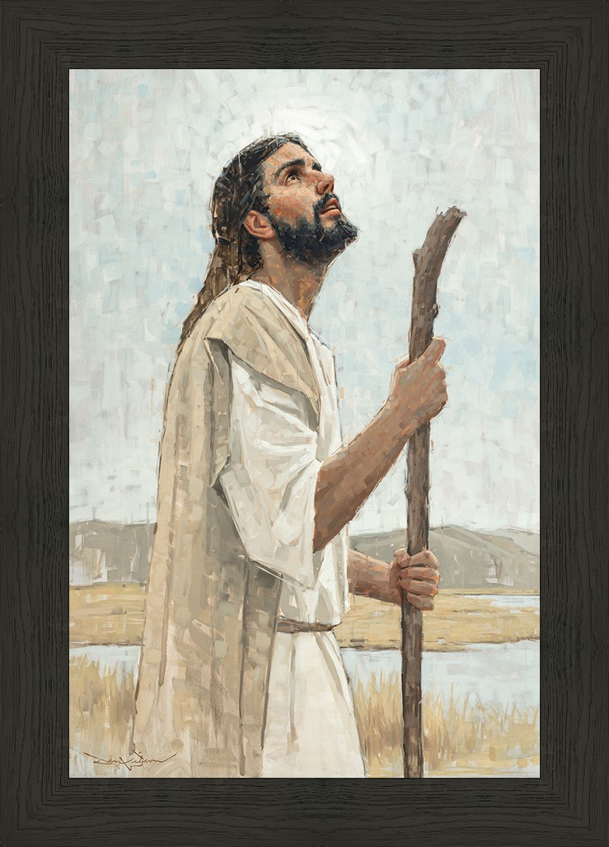 Our Shepherd