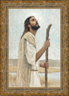 Our Shepherd