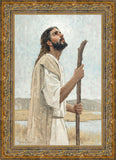 Our Shepherd