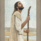 Our Shepherd