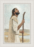 Our Shepherd