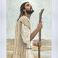 Our Shepherd