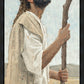 Our Shepherd