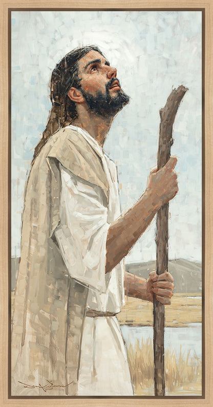 Our Shepherd