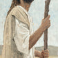 Our Shepherd