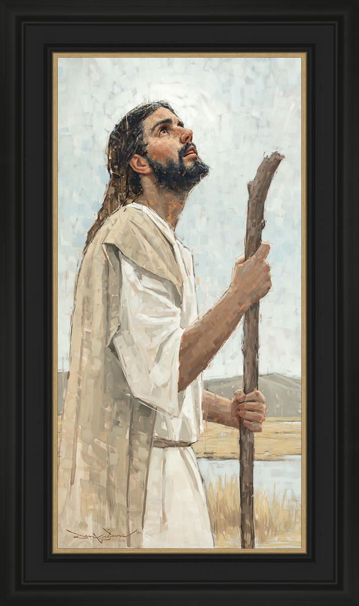 Our Shepherd