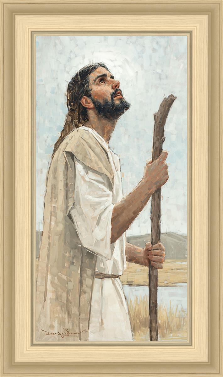 Our Shepherd