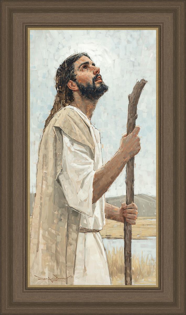 Our Shepherd