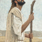 Our Shepherd