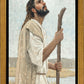Our Shepherd
