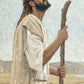 Our Shepherd
