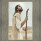 Our Shepherd