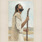 Our Shepherd
