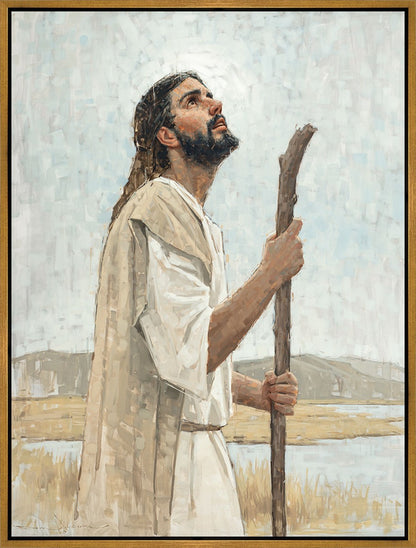 Our Shepherd