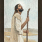 Our Shepherd
