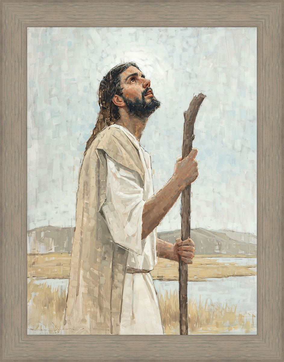 Our Shepherd