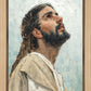 Our Deliverance