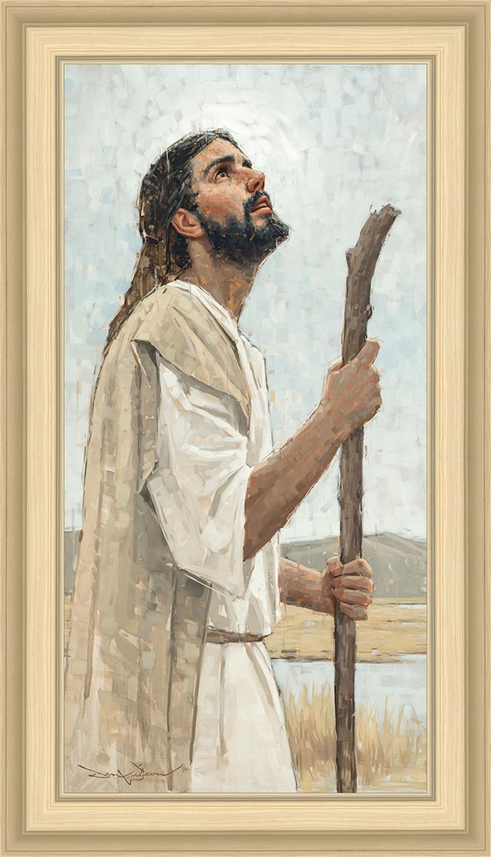 Our Shepherd