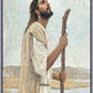 Our Shepherd