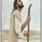 Our Shepherd