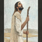 Our Shepherd