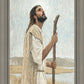 Our Shepherd