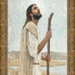 Our Shepherd