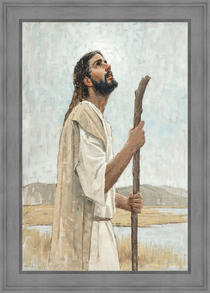 Our Shepherd