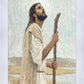 Our Shepherd