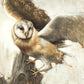 Graceful Landing