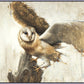 Graceful Landing