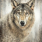 Untamed Eyes