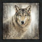 Untamed Eyes