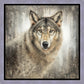 Untamed Eyes