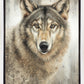 Untamed Eyes