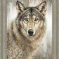 Untamed Eyes