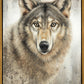 Untamed Eyes