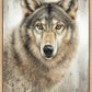 Untamed Eyes