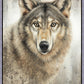 Untamed Eyes