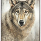 Untamed Eyes