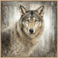 Untamed Eyes