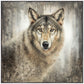 Untamed Eyes