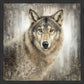 Untamed Eyes