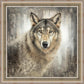 Untamed Eyes