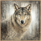 Untamed Eyes